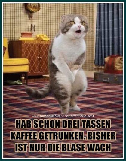 176403254_1209867872800850_2302194990582313554_n (1)