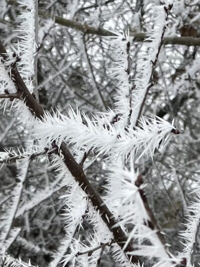 EDF7D2DF-E77A-42AD-B47A-B2F84EFE41B1