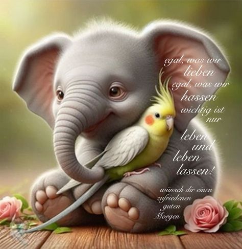 704a5cd68d6eacedf87cf863af662932