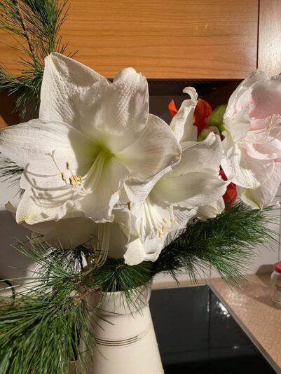 133565139_3938150342864040_225474970694929550_o