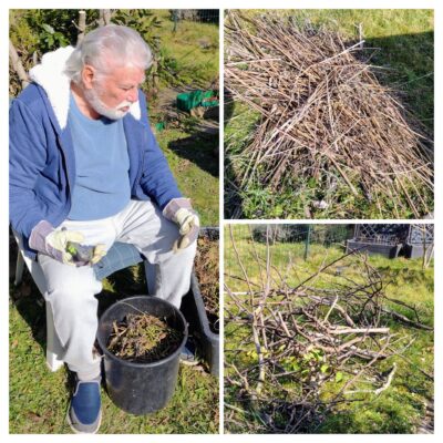 20250304_162852-COLLAGE