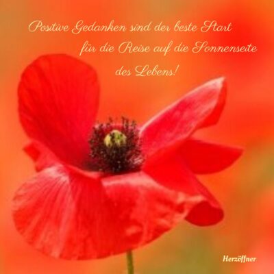 104321079_1636409519856999_1622683221710434828_o