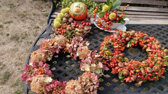 IMG_20180919_132458424 (1)