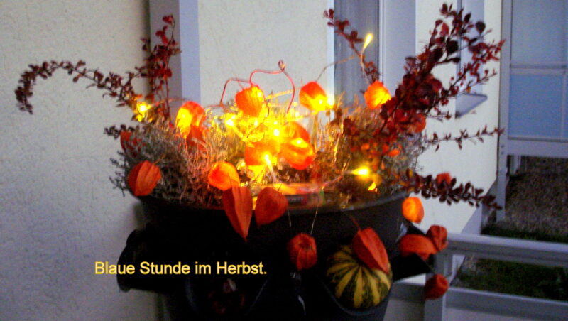 Lampions in der blauen Stunde. 17,20 Uhr