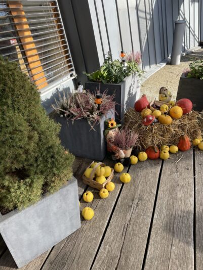 108206D5-0019-44E4-89BD-C597844D164A