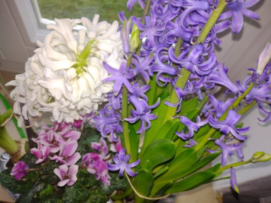 IMG_20230114_105757359