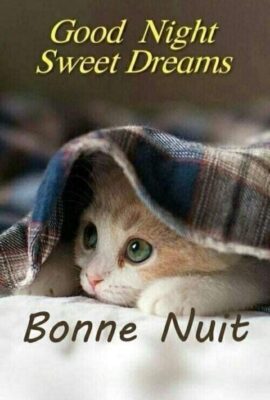 576755354_1278625927633040_5467390920740499320_n