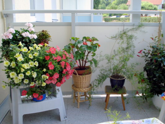 Jetzt haben meine Pflanzen Platz.