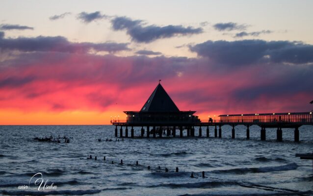 176998663_2372694539541501_3177419937307682117_n