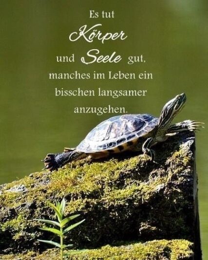 131431060_213702170220324_5222609261419384529_n