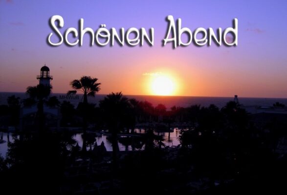 99372020_1427478304122363_4643003378056560640_n