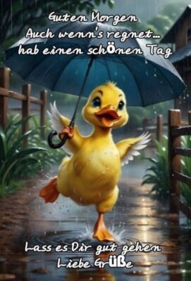 12a99146acda56f5c821b6c29a68535e