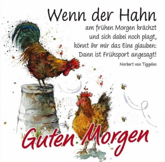 457748161_959265275962560_1678757093289449066_n