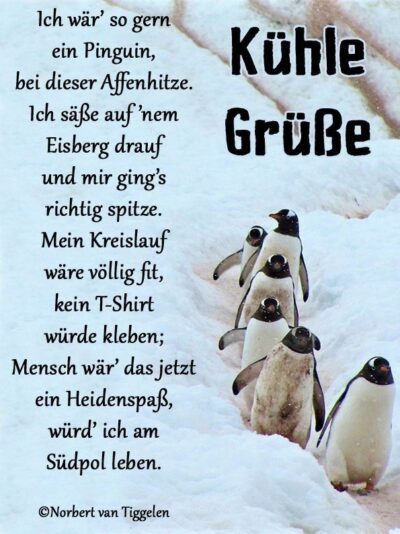 da22361e3f0c7c6ef7913eb20b2f3dd3