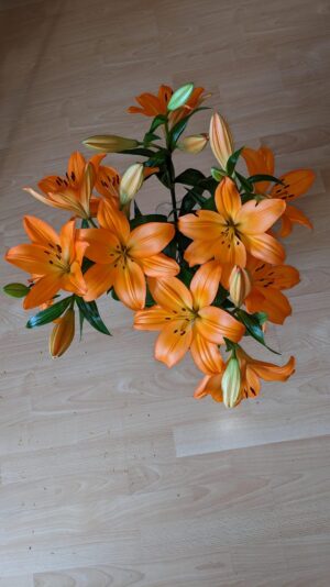 PXL_20230601_063303028