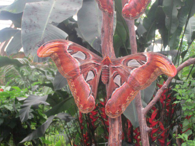 32D955FF-B342-4AFA-8DB7-8C2ED3247488