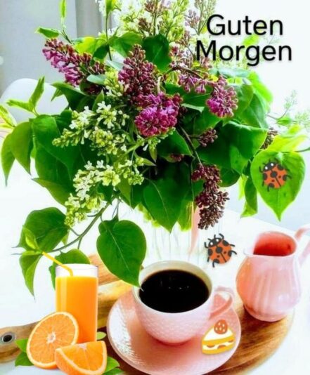 436410887_7535818996499750_1505848947807305518_n