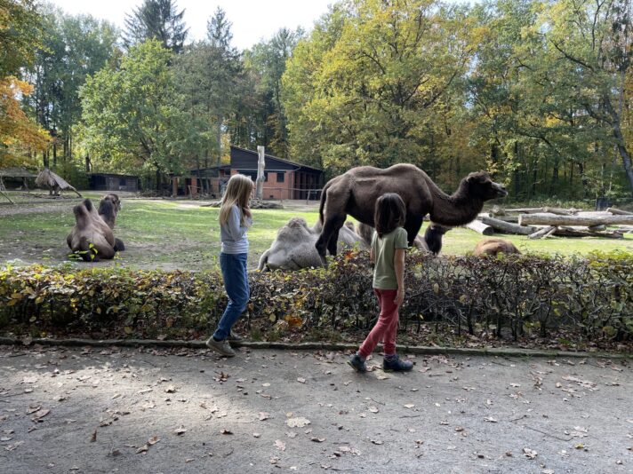 AA9A04D3-091E-4BF1-8170-AA4C883D5A99