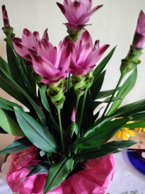 IMG_20220808_072118500_HDR