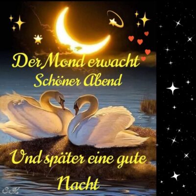 IMG-20220822-WA0009-1600x1600