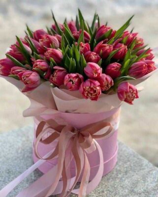 434145124_1770394910050501_8607829728291353883_n