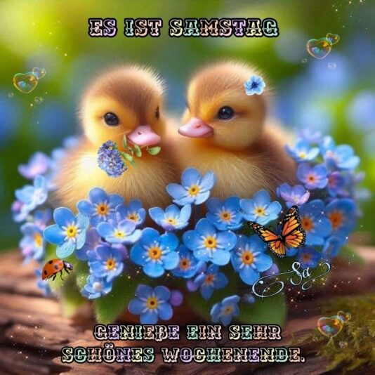 dc5a017c5676d21e2c2009539af5e177