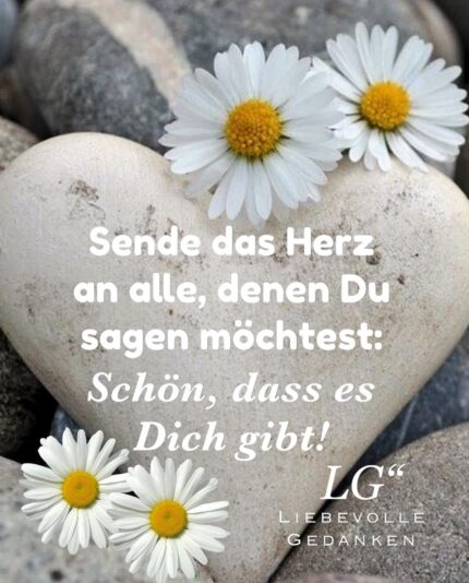 202702558_2951230955139127_8860408635855544885_n