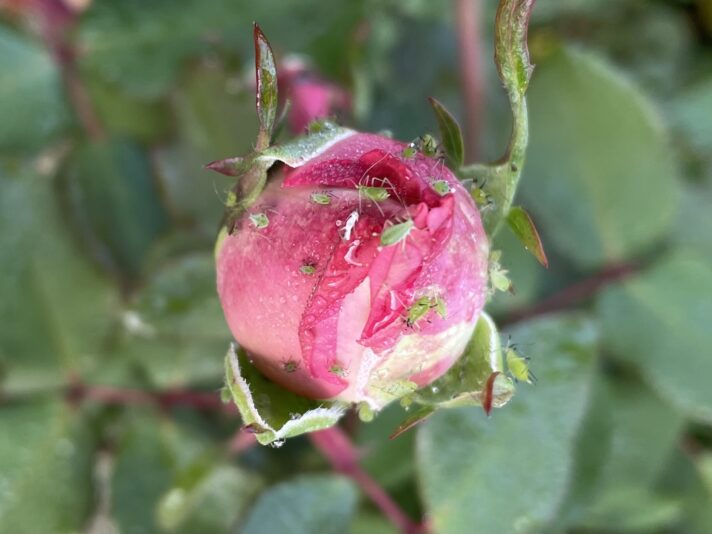 822C95BF-CD3B-47CB-A0F9-04F16ECE1C52