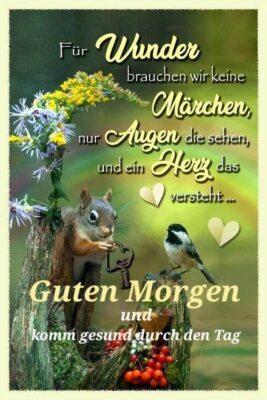 f4dcce2f-2062-4502-8b38-baed6327bf53