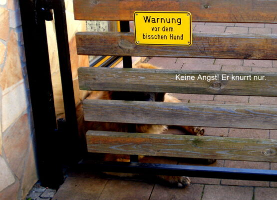 Keine Angst! Er knurrt nur.