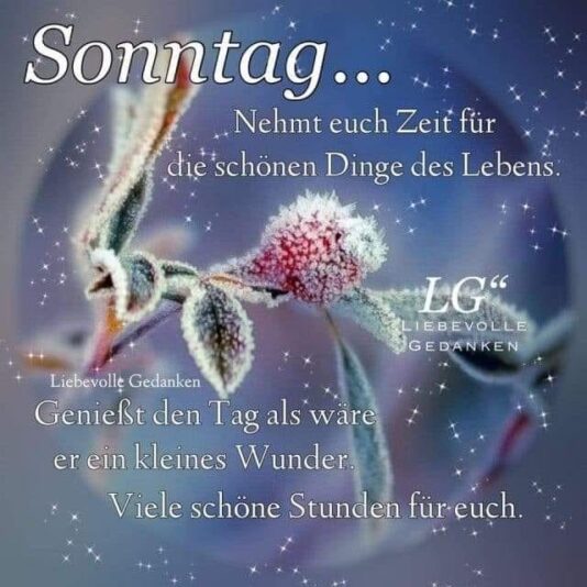 146905079_1243000876101900_4752860859854940257_n.jpg SONNTAG