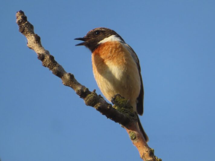 20240509191712_IMG_5889