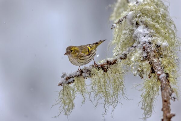 420128653_900156751749033_2610496297987803842_n