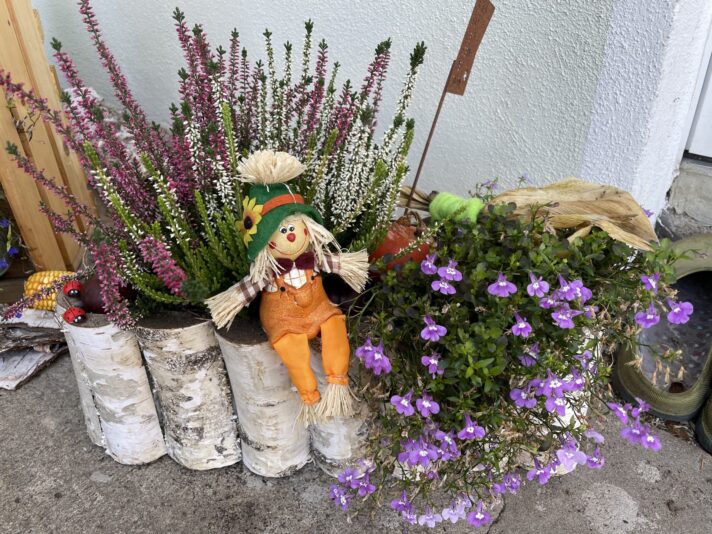 24D0A5D2-0574-4EB6-A071-CDDB842AE94C