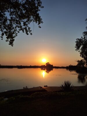 51aca0e3-8f78-4573-9214-dc07d07a14c6