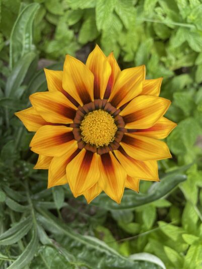 D940F700-F63F-4927-AA99-90D8F5B9AD60