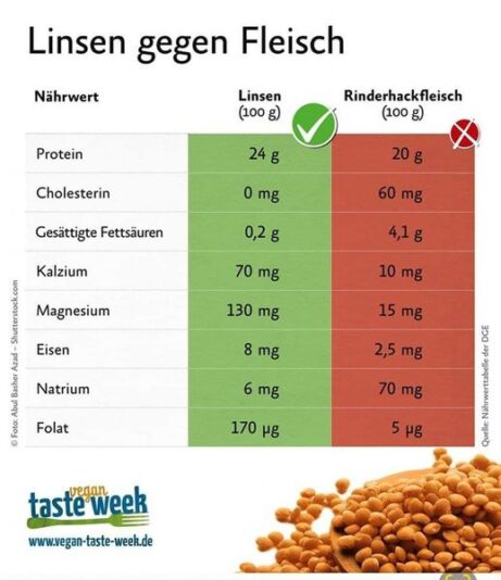 372987286_819722170160117_4015231299862197733_n