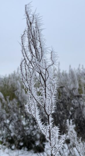 5C9B78E0-729F-4F6C-AC6D-0CECE27A1684