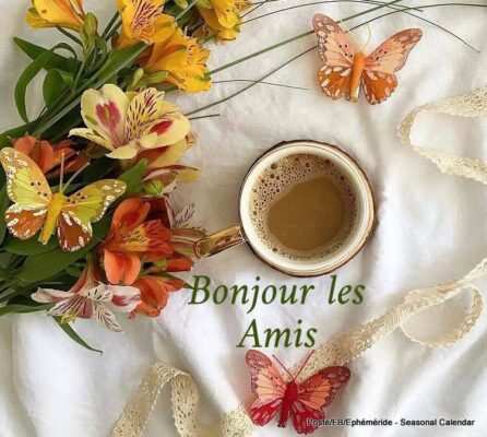 209695556_4378219045561491_8234908454902532357_n