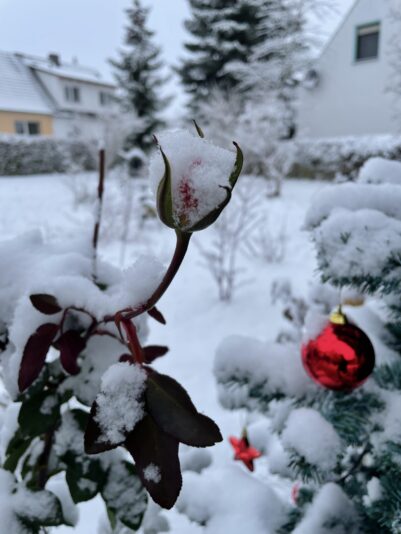 6C9151BA-494C-4069-BC1E-B9E7262E7656