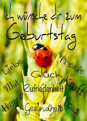 781d7e1c66df1fb5102ff455dcfdd375