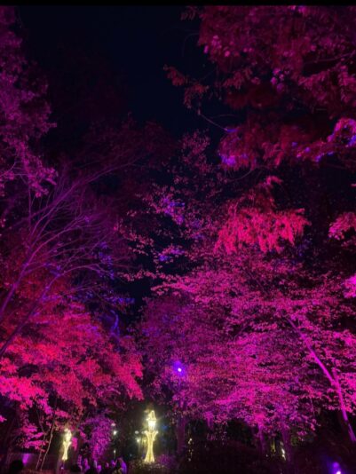 Screenshot_20241103_214805_WhatsApp