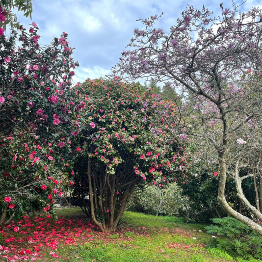 272336313_6283657701286_7491438134220110945_n