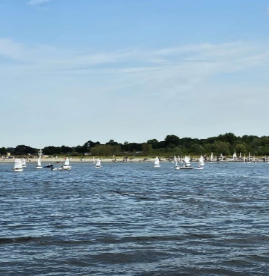 Screenshot_20240725_182134_WhatsApp