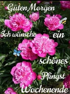 189200705_3949407161794694_4978001465458610088_n (1)