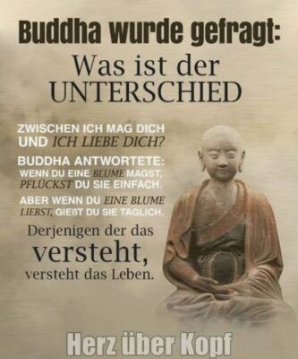 Gallery_1760976100928