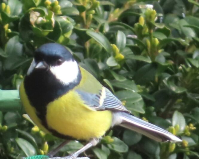 20240304111956_IMG_9057