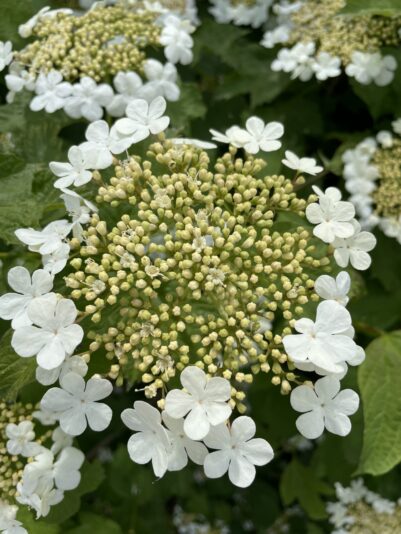 20812D9D-5817-4729-A867-DEE7C7EF6CC2