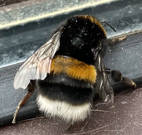 E41C4B52-AA96-4085-9B00-BBAB7994AB26