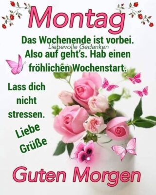 503434650_1209559114232231_4296358054297501391_n